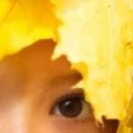 JESIEŃ CHODZI W KAPELUSZU – nagrodzeni.