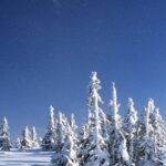 Zima? A&nbsp;jednak :)