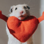 Być wdzięcznym każdego dnia