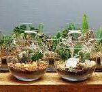 Just in&nbsp;Nature i&nbsp;klasy trzecie