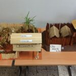 Wystawa „Biskupin oczami 2a i&nbsp;2b”