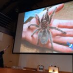 Drugoklasiści na&nbsp;uczelni wyższej