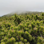 Wyprawa na Babią Górę 2025!